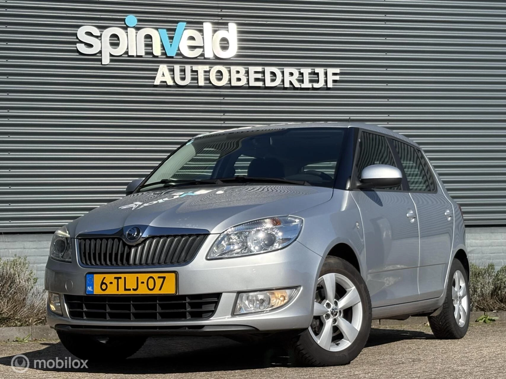 Hoofdafbeelding Škoda Fabia
