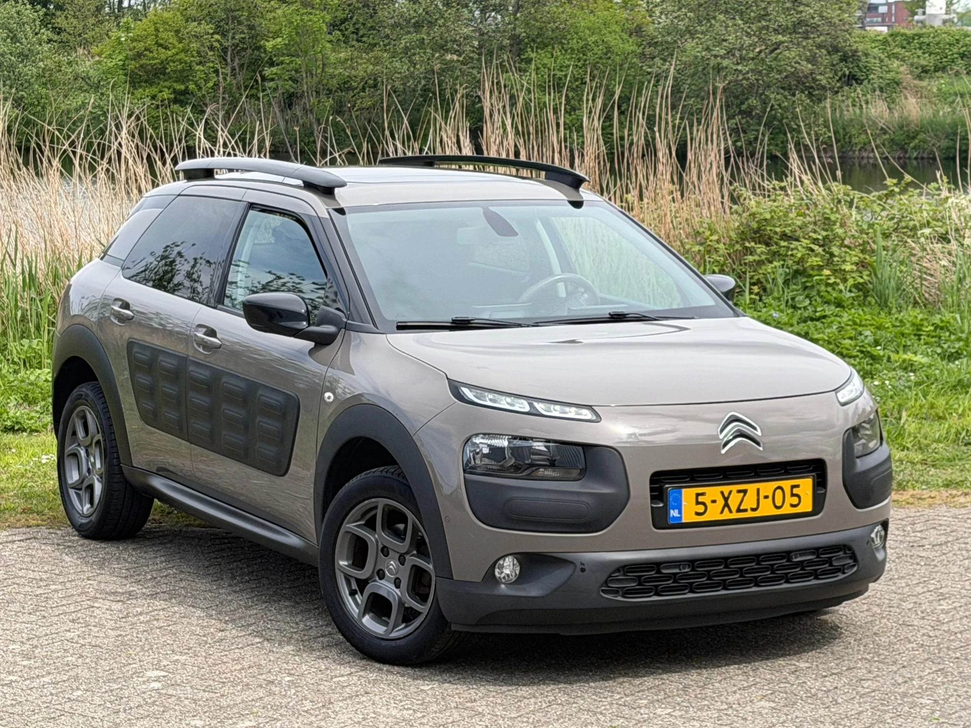 Hoofdafbeelding Citroën C4 Cactus