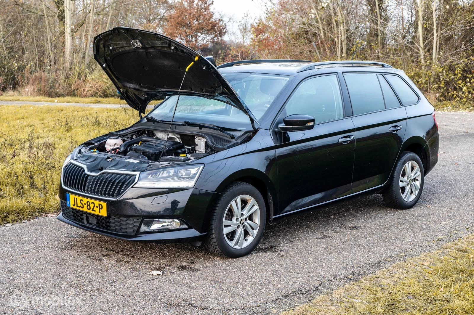 Hoofdafbeelding Škoda Fabia