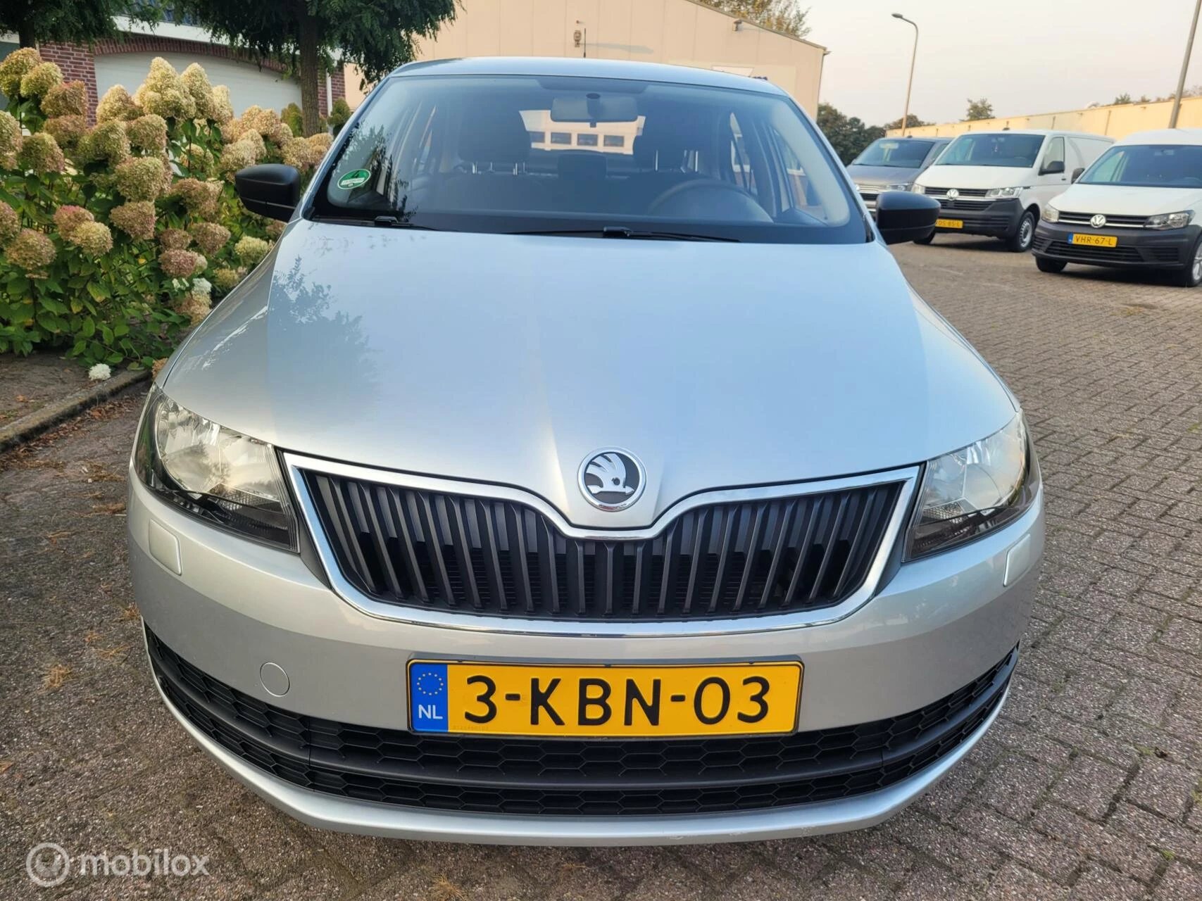 Hoofdafbeelding Škoda Rapid