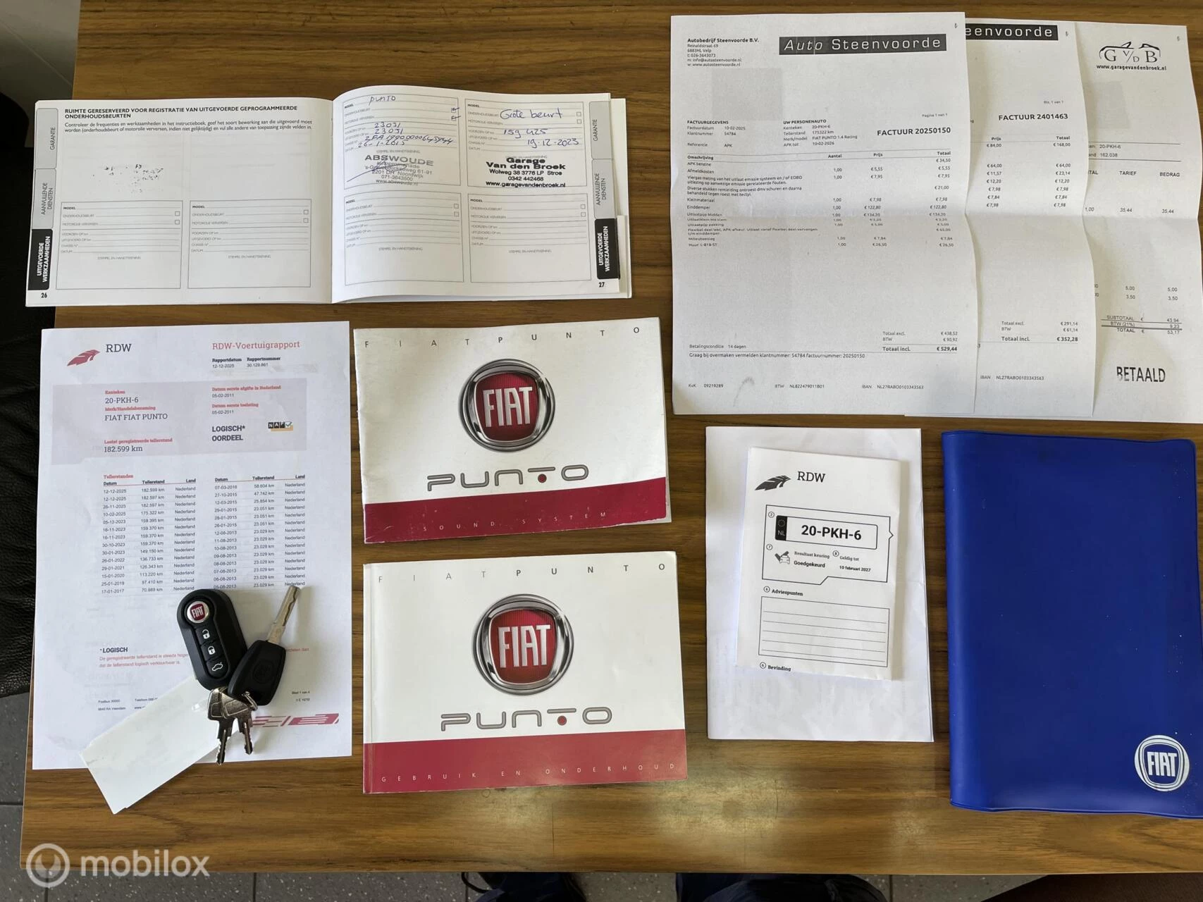 Hoofdafbeelding Fiat Punto