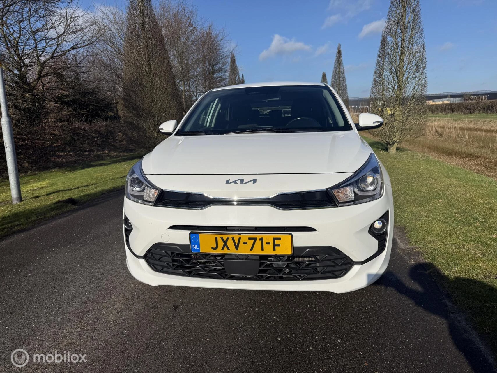 Hoofdafbeelding Kia Rio