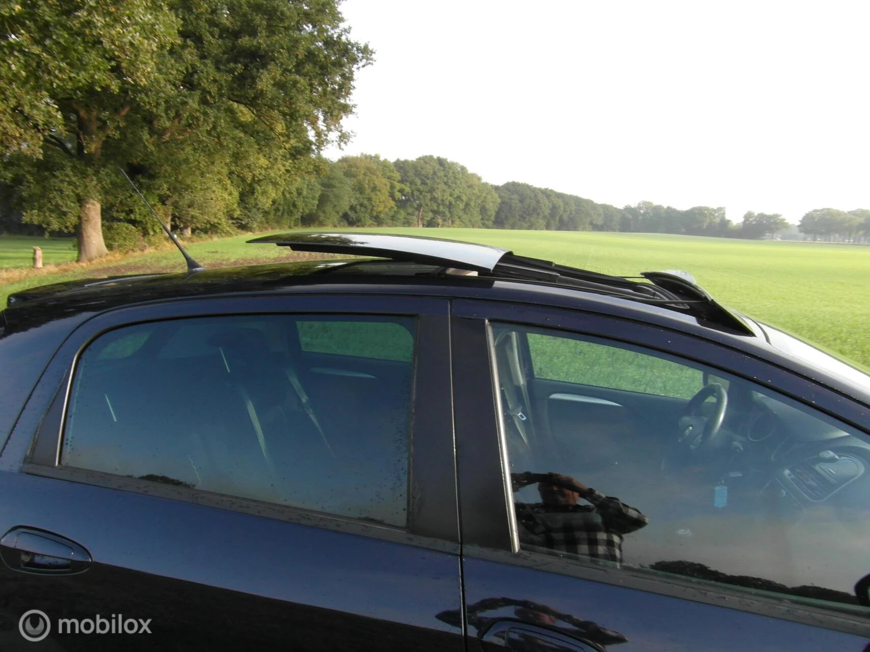 Hoofdafbeelding Fiat Punto