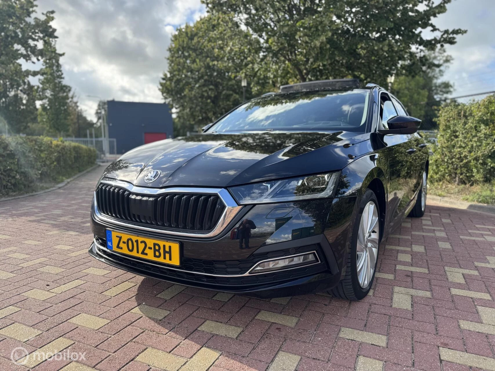 Hoofdafbeelding Škoda Octavia