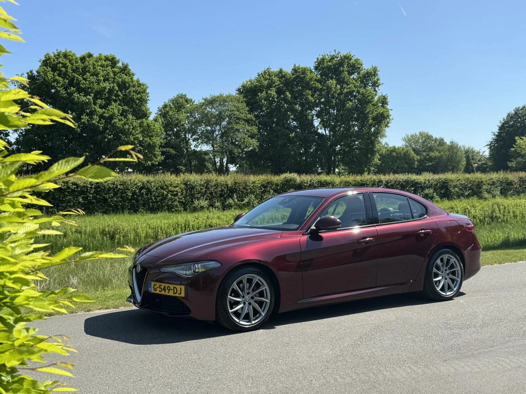 Hoofdafbeelding Alfa Romeo Giulia