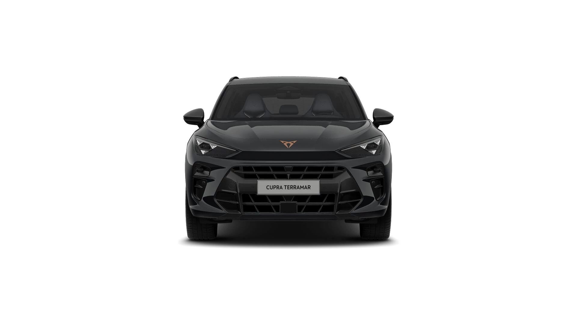 Hoofdafbeelding CUPRA Terramar