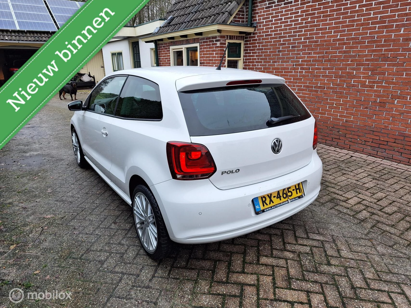 Hoofdafbeelding Volkswagen Polo