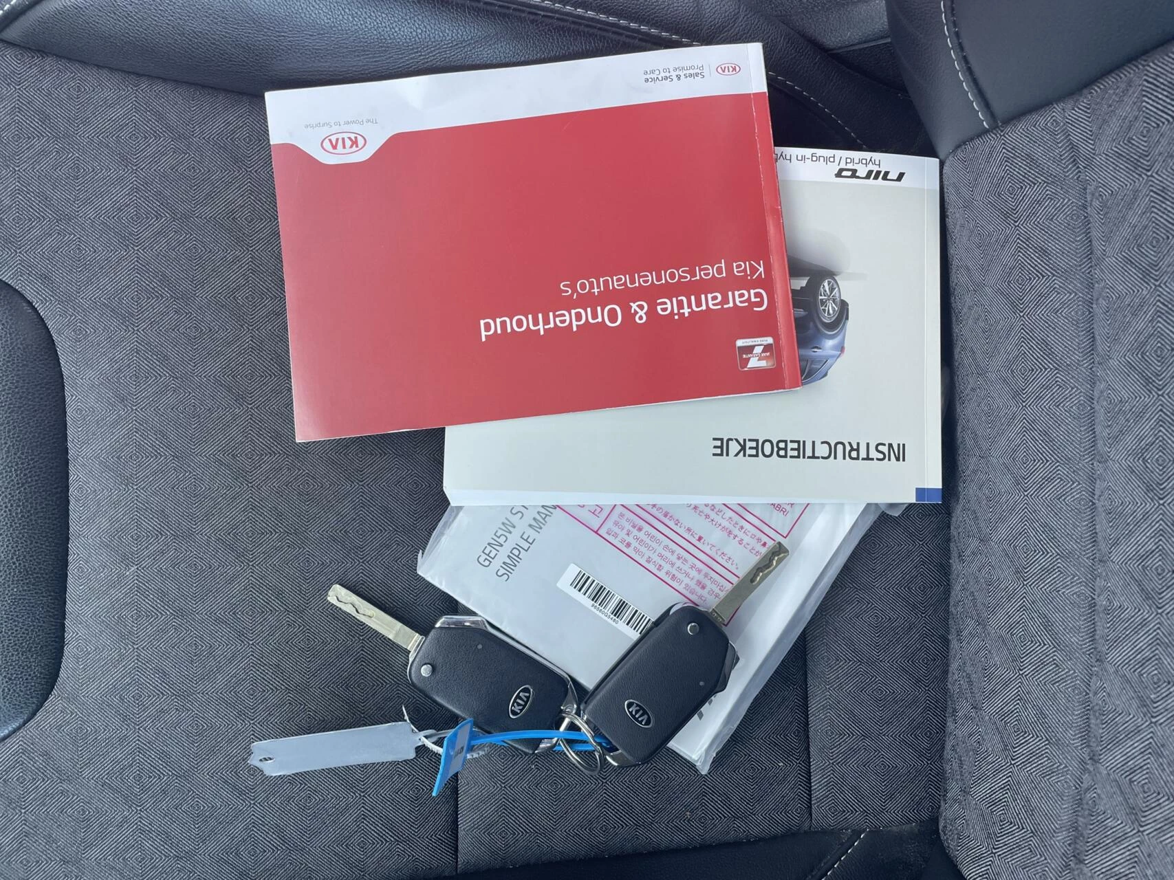 Hoofdafbeelding Kia Niro