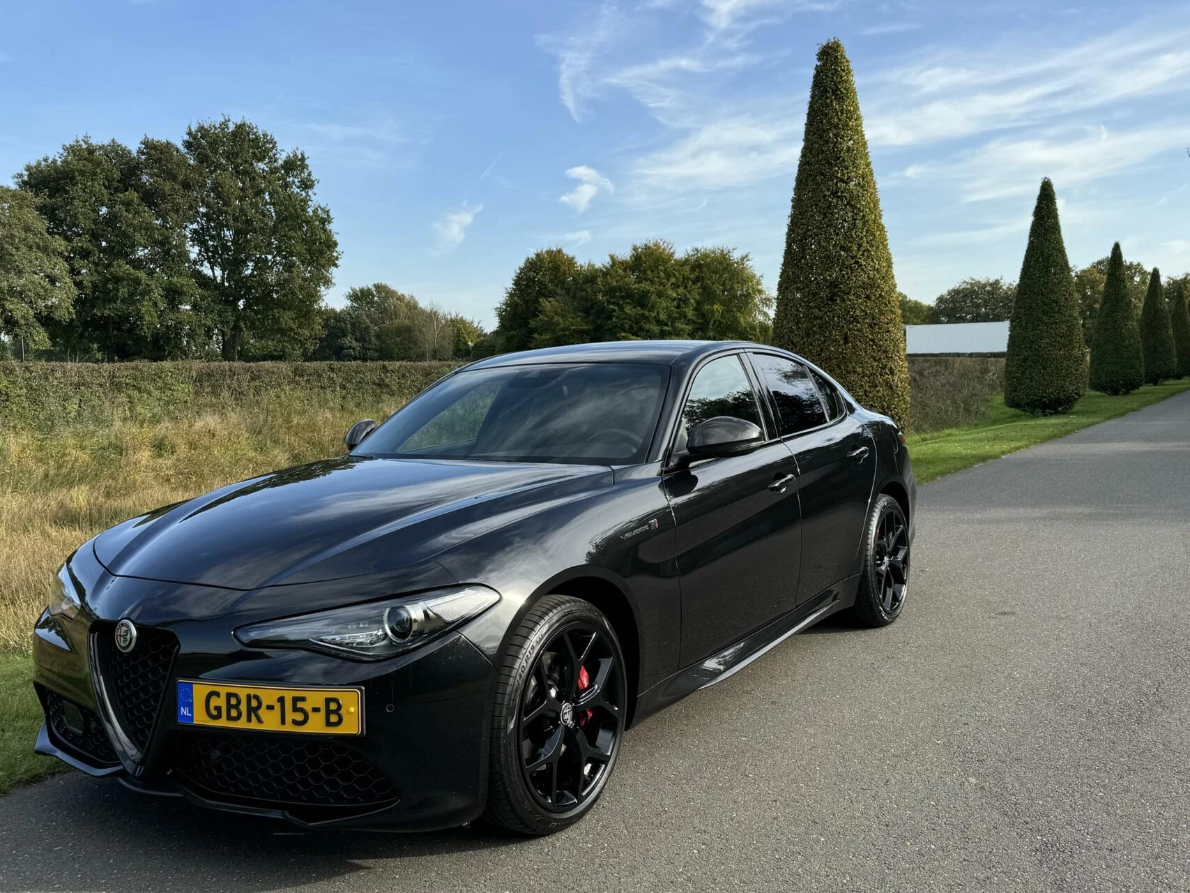 Hoofdafbeelding Alfa Romeo Giulia