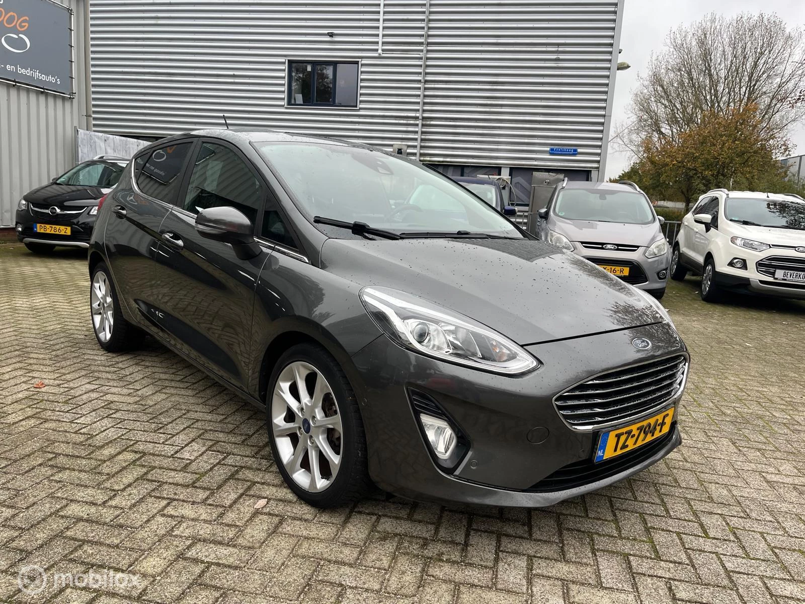 Hoofdafbeelding Ford Fiesta