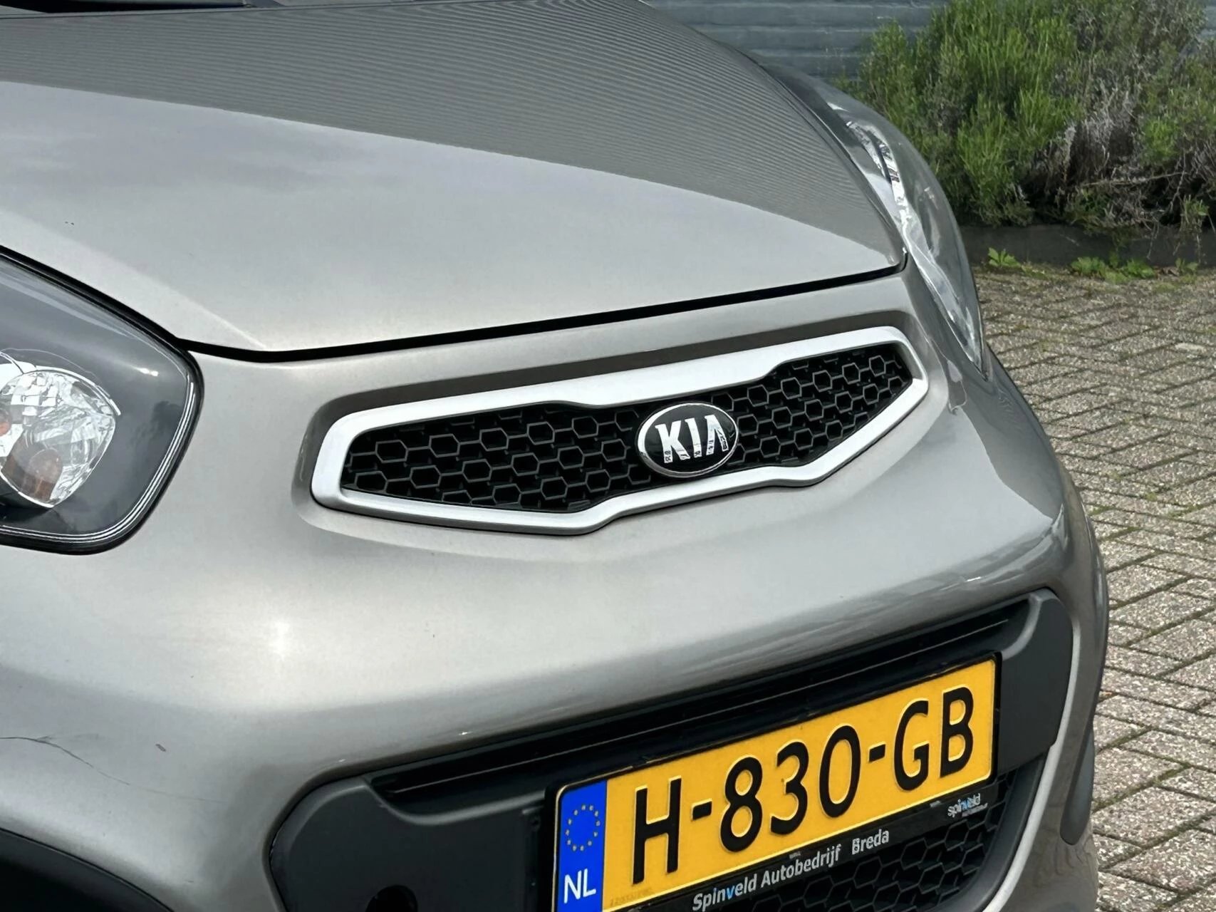 Hoofdafbeelding Kia Picanto