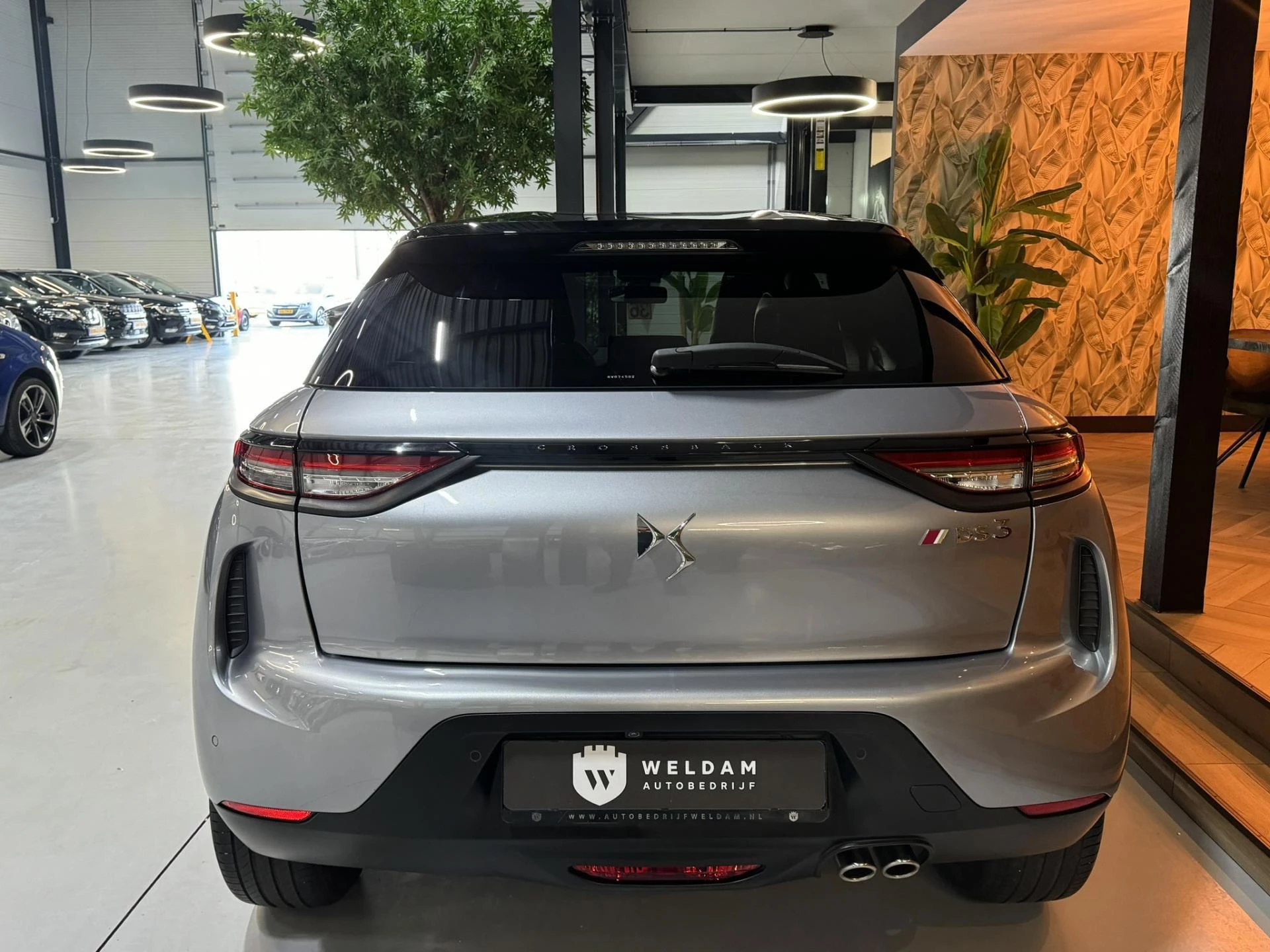 Hoofdafbeelding DS DS 3