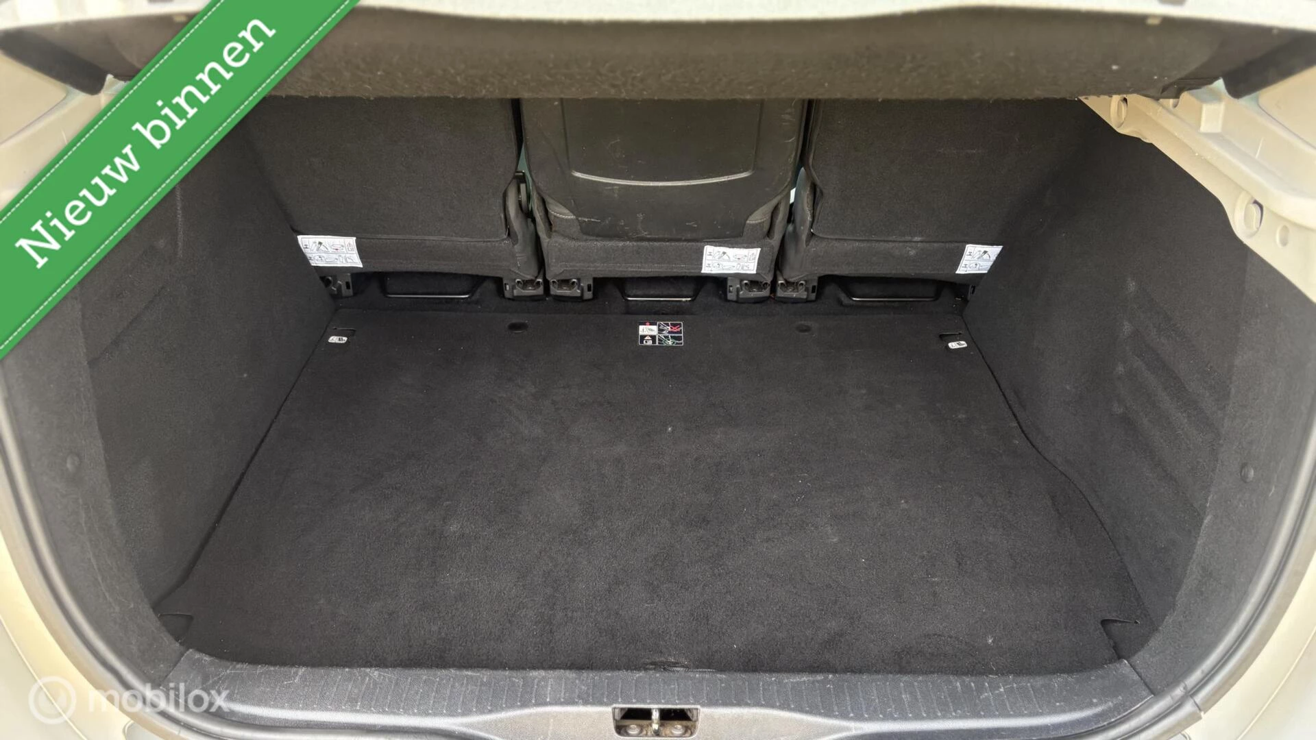 Hoofdafbeelding Renault Scénic