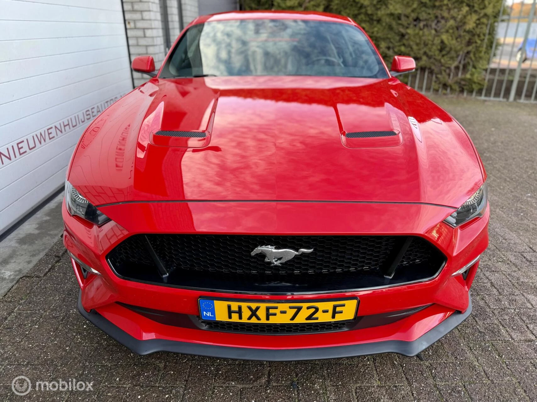 Hoofdafbeelding Ford Mustang