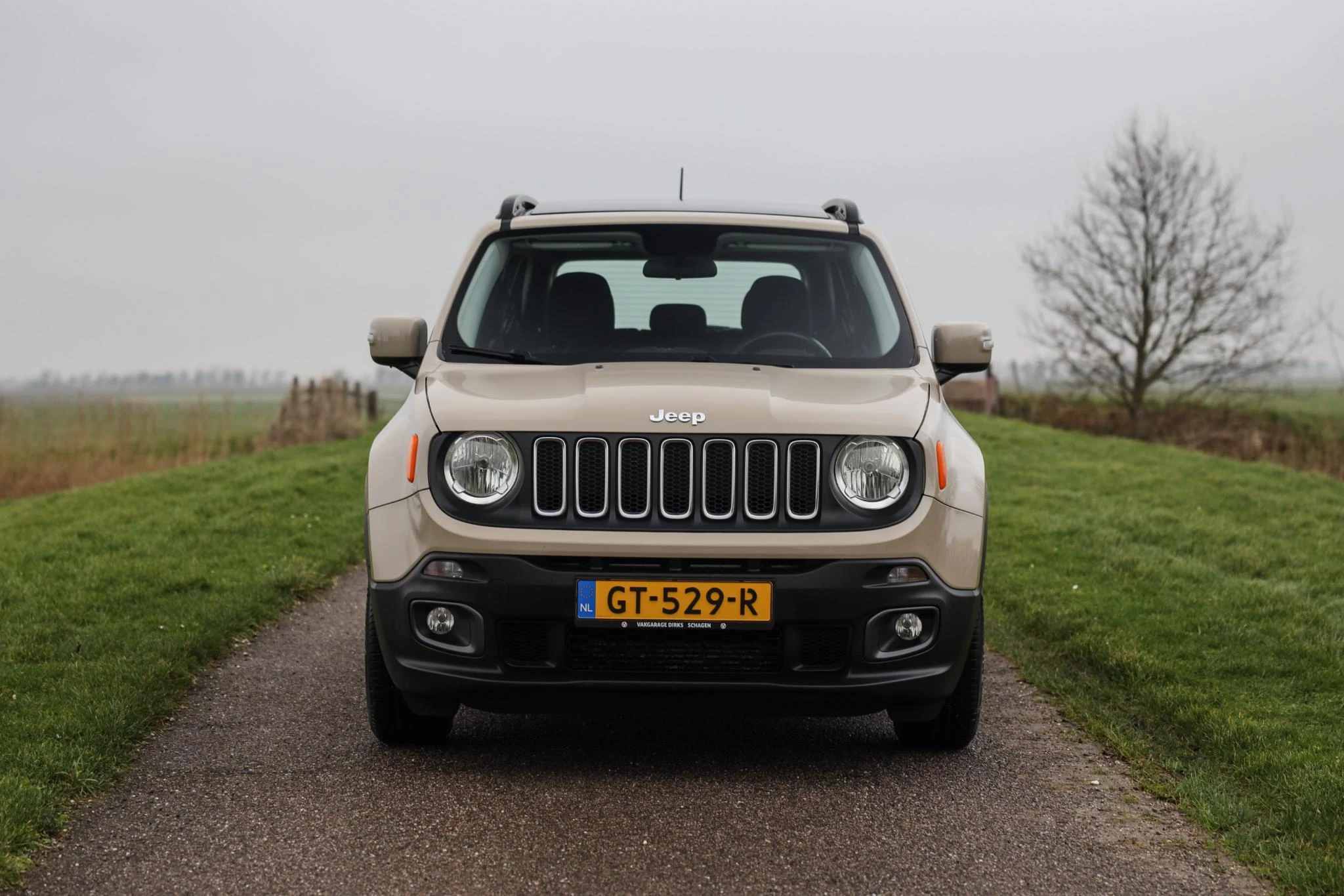 Hoofdafbeelding Jeep Renegade