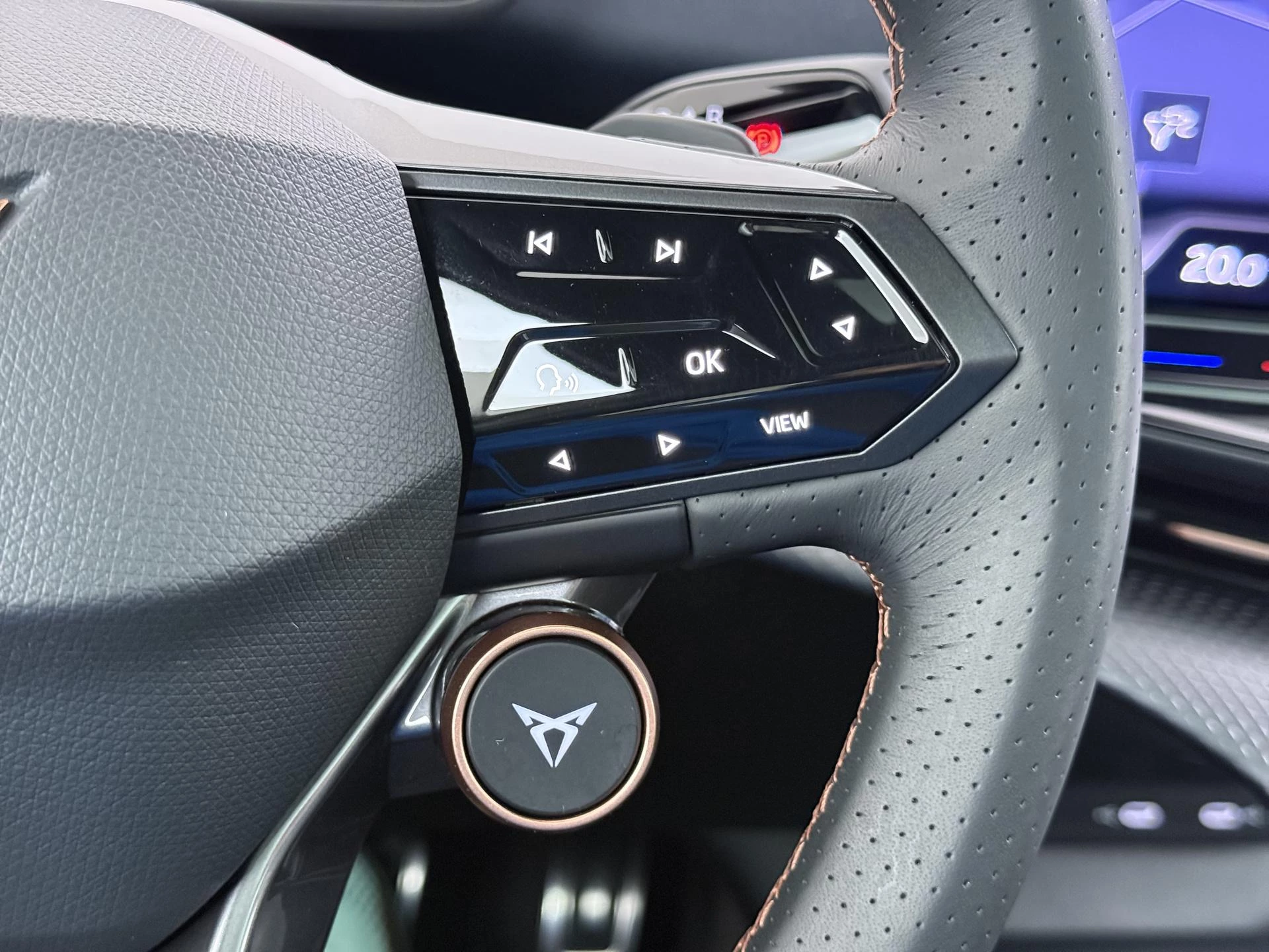 Hoofdafbeelding CUPRA Tavascan