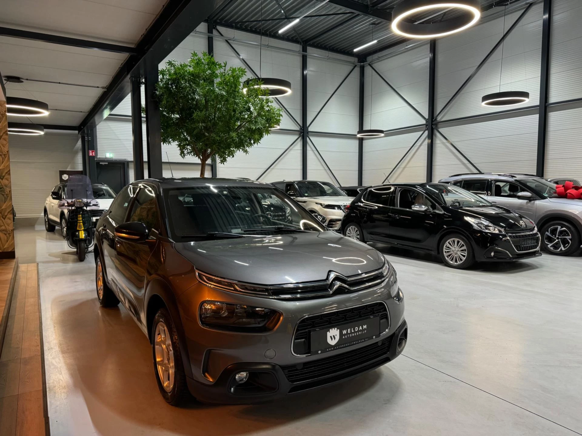 Hoofdafbeelding Citroën C4 Cactus