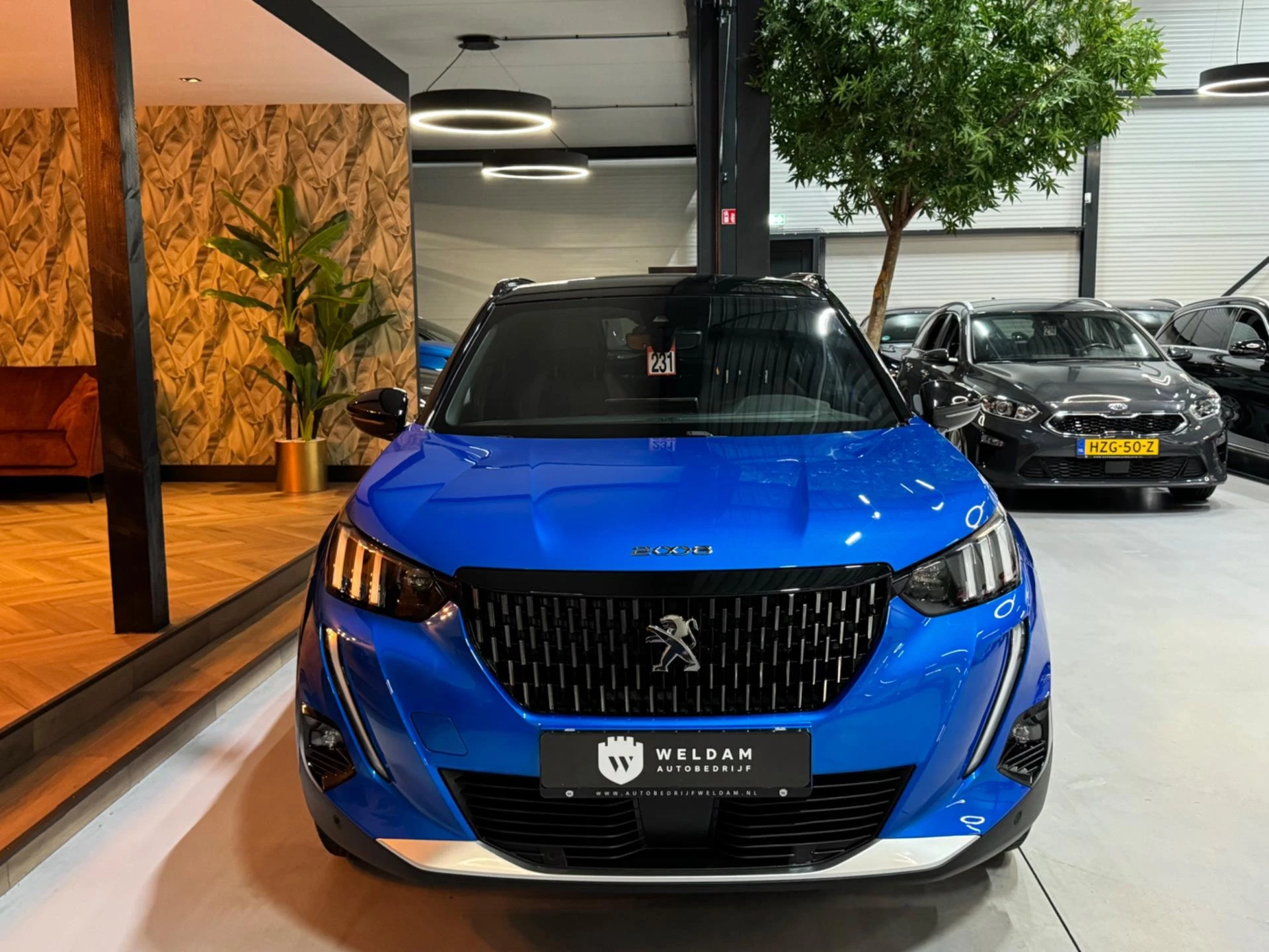 Hoofdafbeelding Peugeot 2008