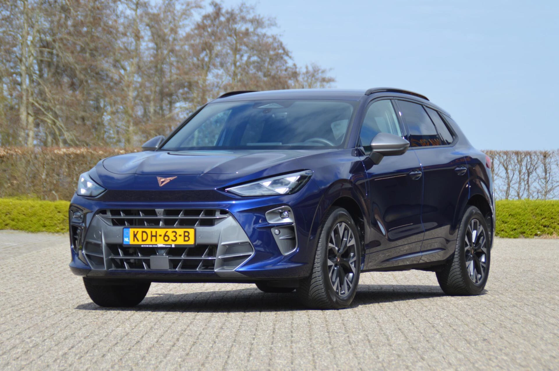 Hoofdafbeelding CUPRA Terramar