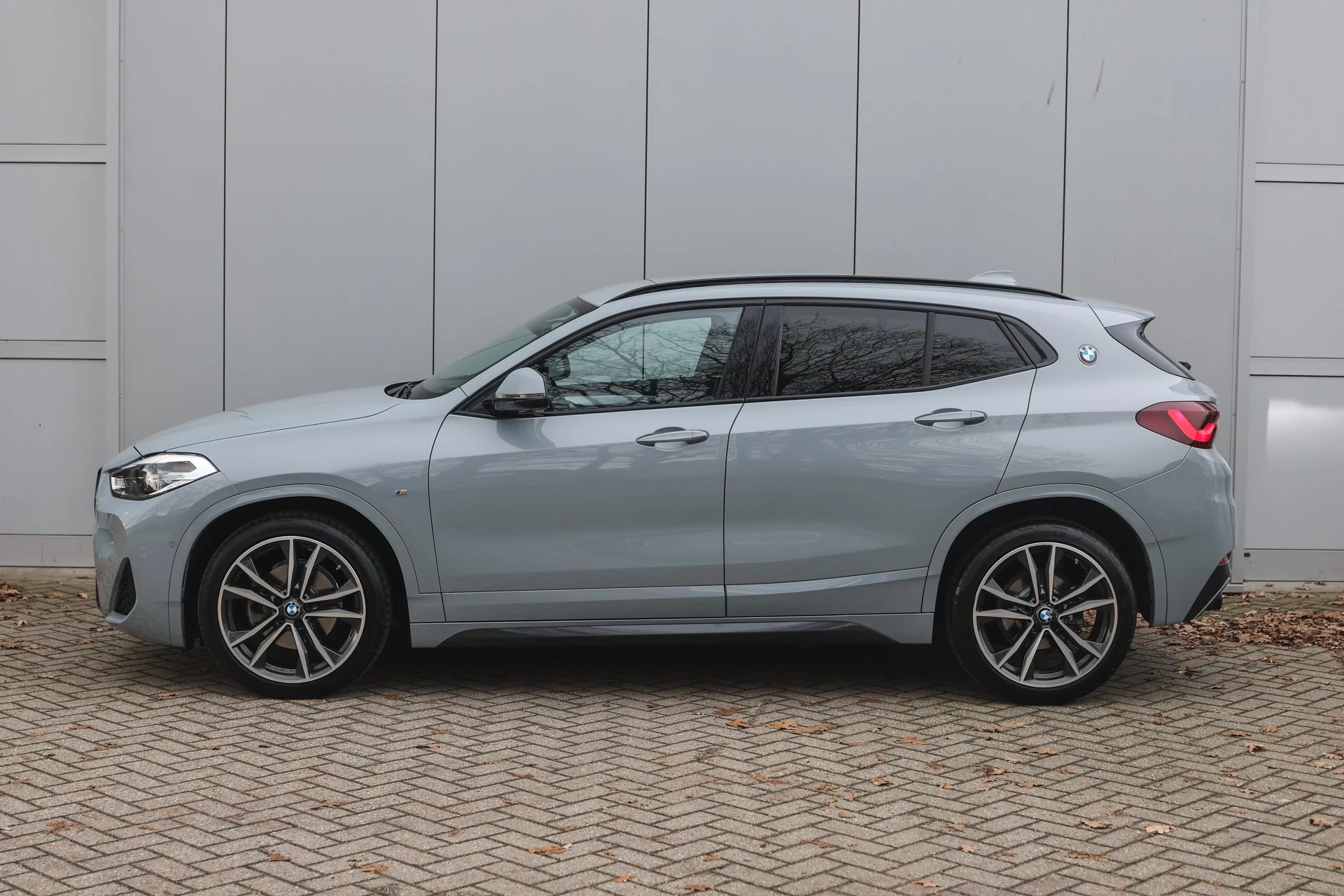 Hoofdafbeelding BMW X2