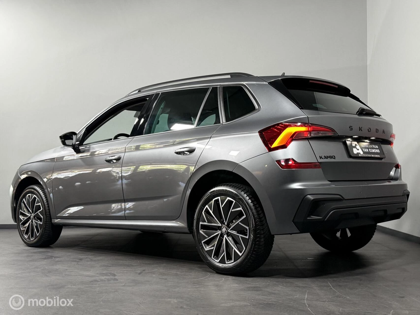 Hoofdafbeelding Škoda Kamiq