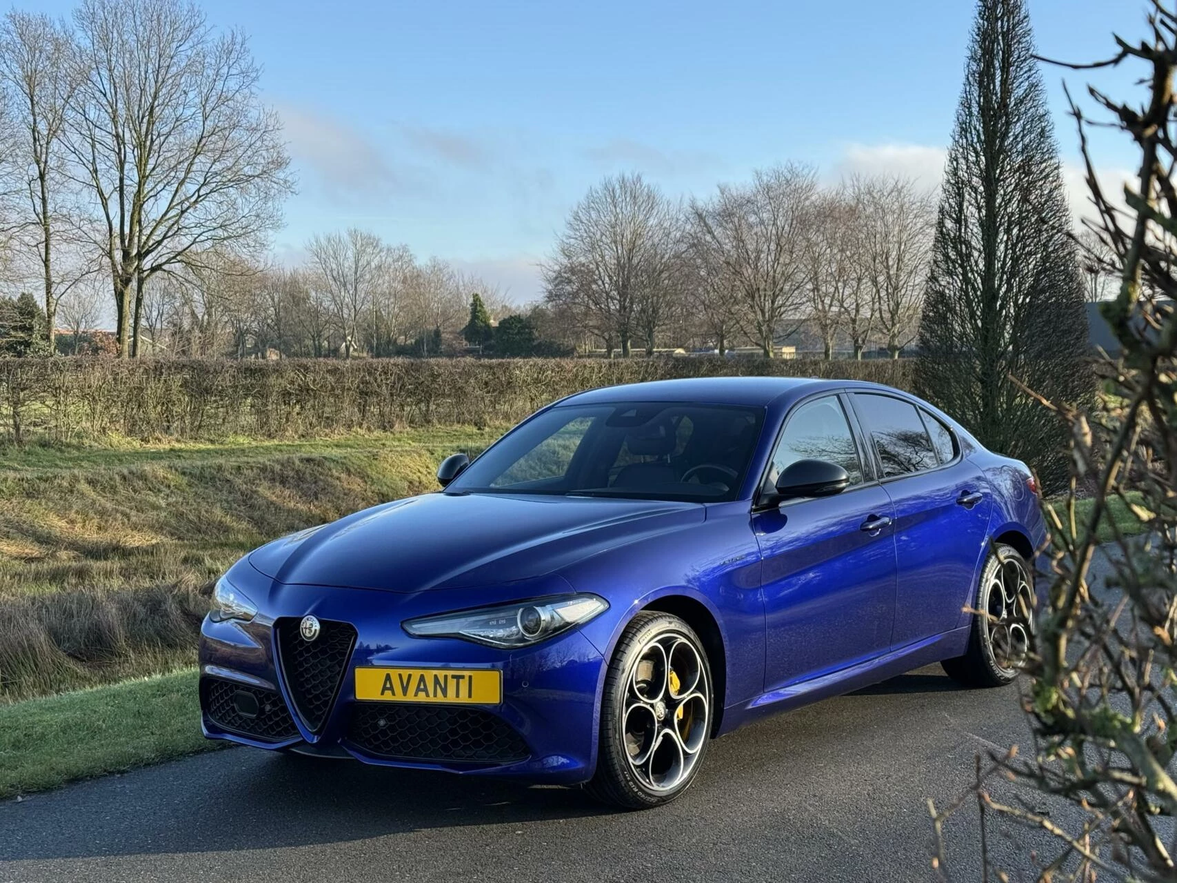 Hoofdafbeelding Alfa Romeo Giulia