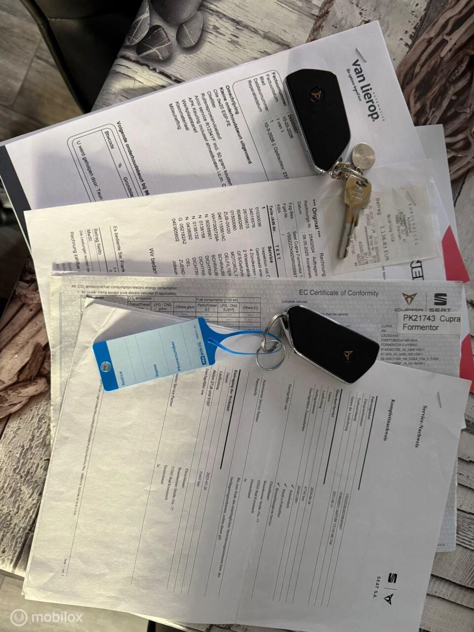 Hoofdafbeelding CUPRA Formentor