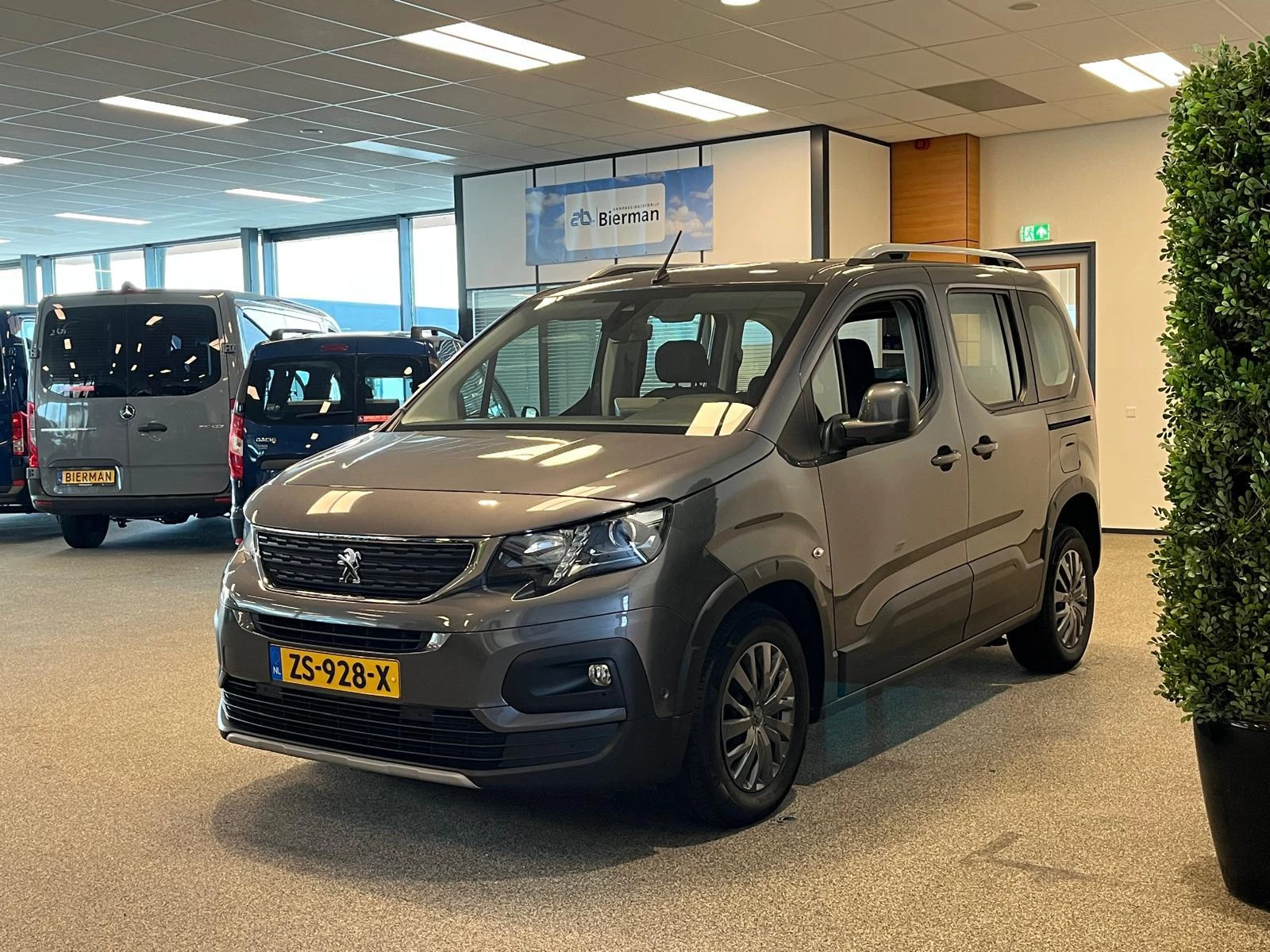 Hoofdafbeelding Peugeot Rifter