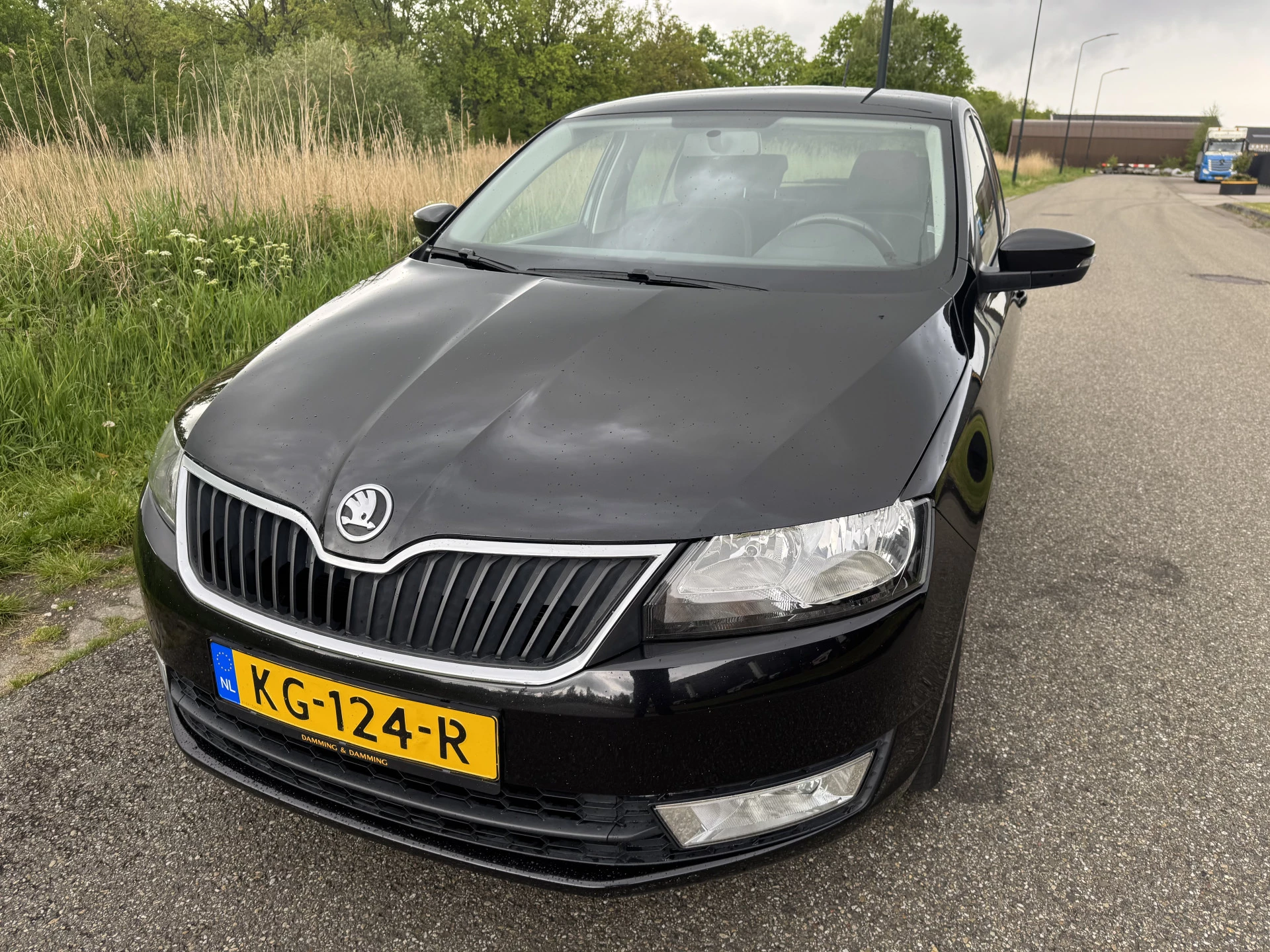 Hoofdafbeelding Škoda Rapid