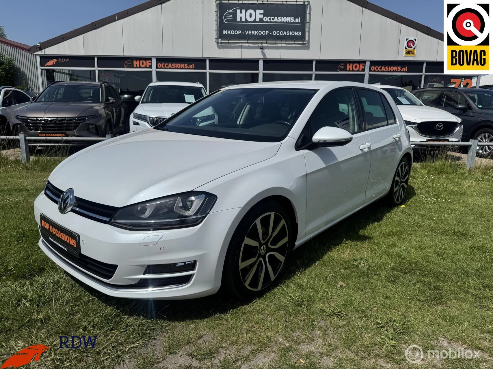 Hoofdafbeelding Volkswagen Golf