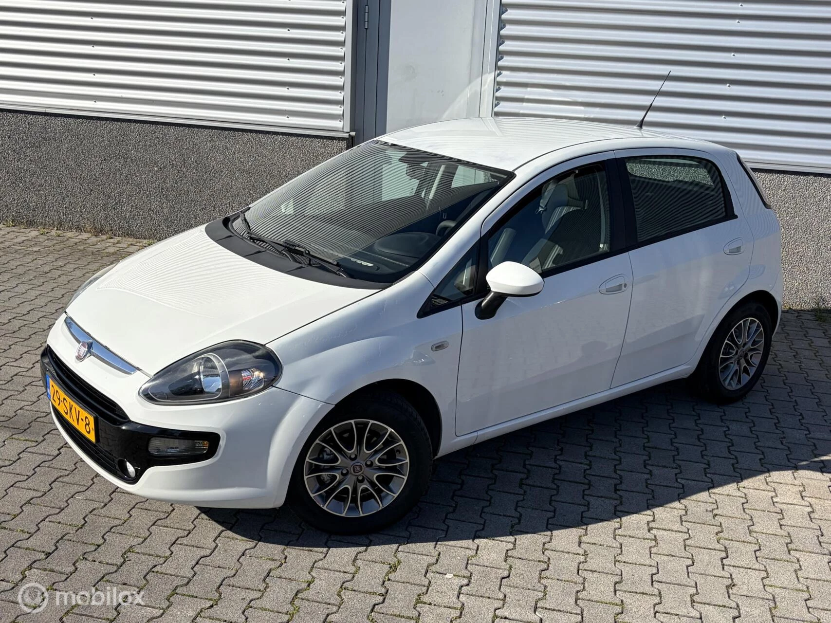 Hoofdafbeelding Fiat Punto