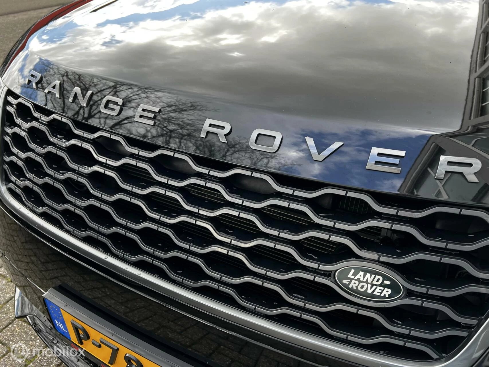 Hoofdafbeelding Land Rover Range Rover Velar