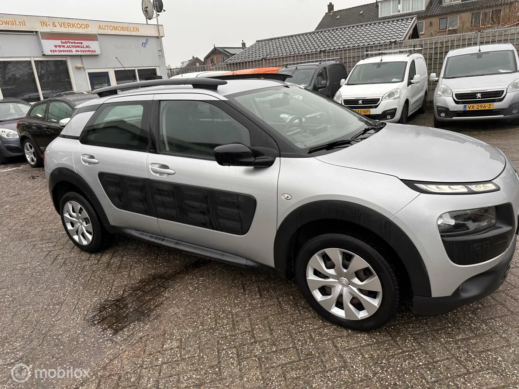 Hoofdafbeelding Citroën C4 Cactus