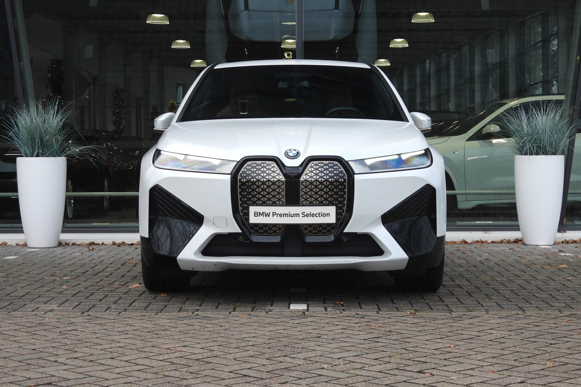 Hoofdafbeelding BMW iX