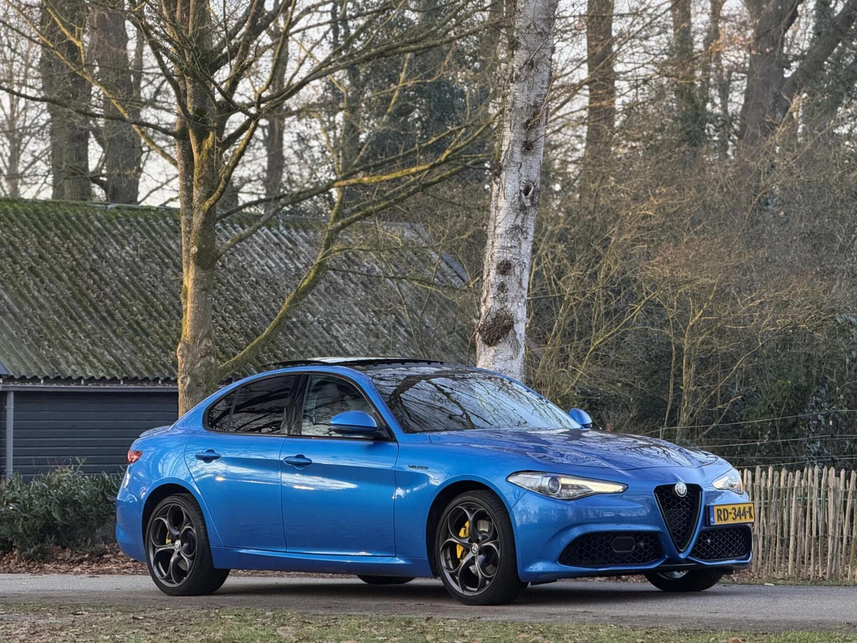 Hoofdafbeelding Alfa Romeo Giulia