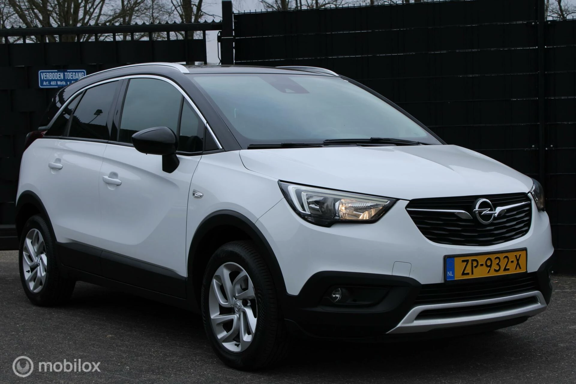 Hoofdafbeelding Opel Crossland X