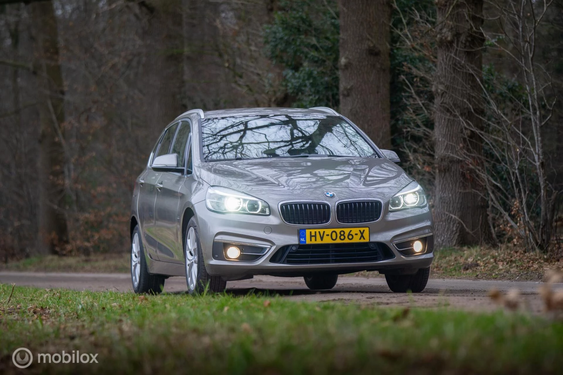 Hoofdafbeelding BMW 2 Serie