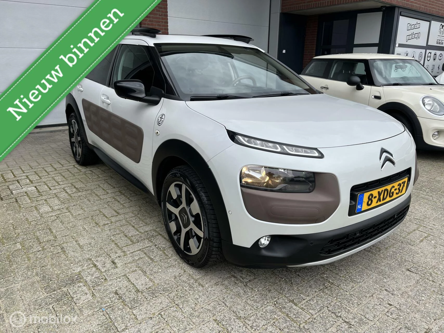 Hoofdafbeelding Citroën C4 Cactus