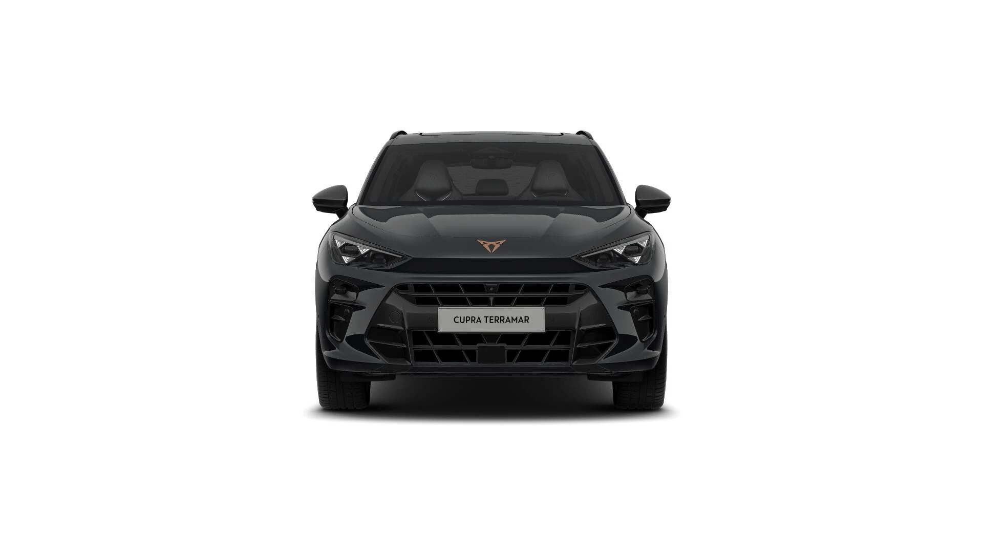 Hoofdafbeelding CUPRA Terramar