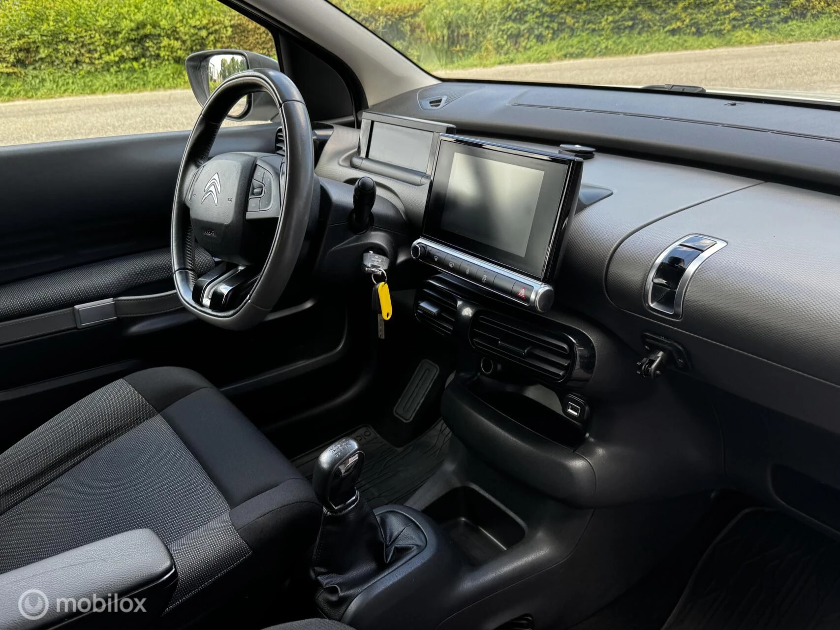 Hoofdafbeelding Citroën C4 Cactus