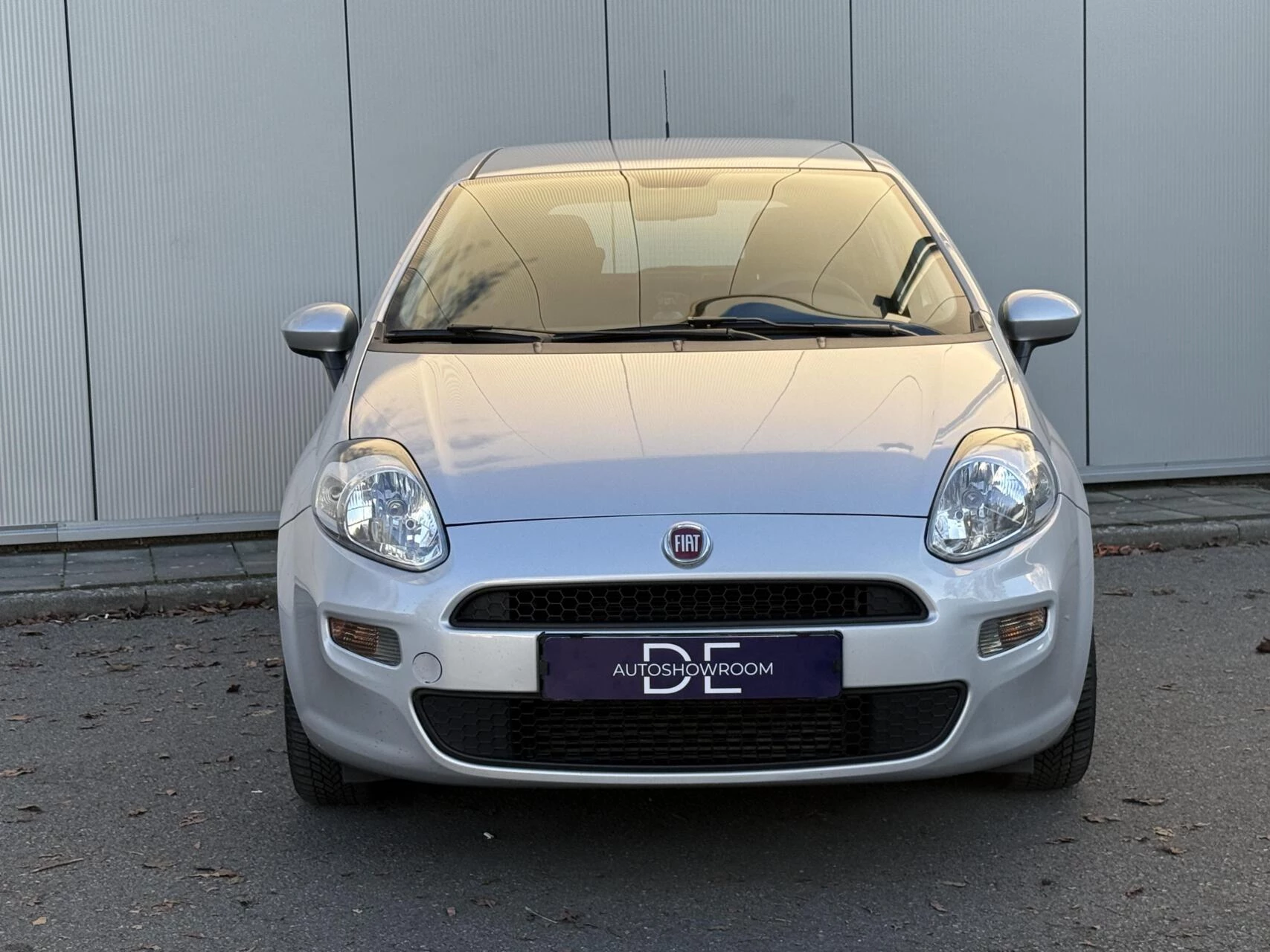 Hoofdafbeelding Fiat Punto