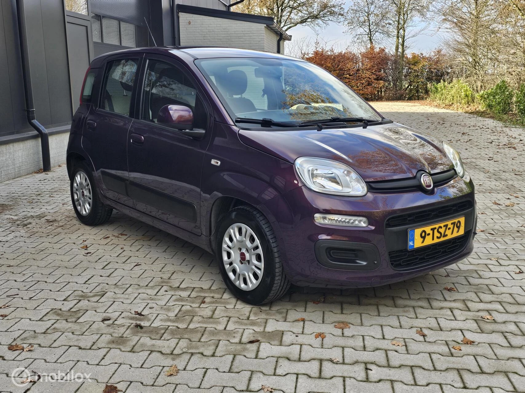 Hoofdafbeelding Fiat Panda