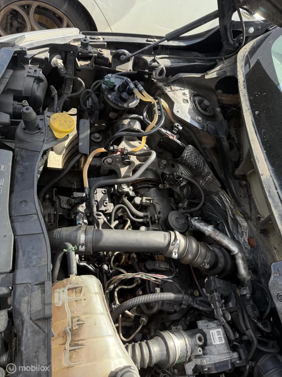 Hoofdafbeelding Mercedes-Benz Citan
