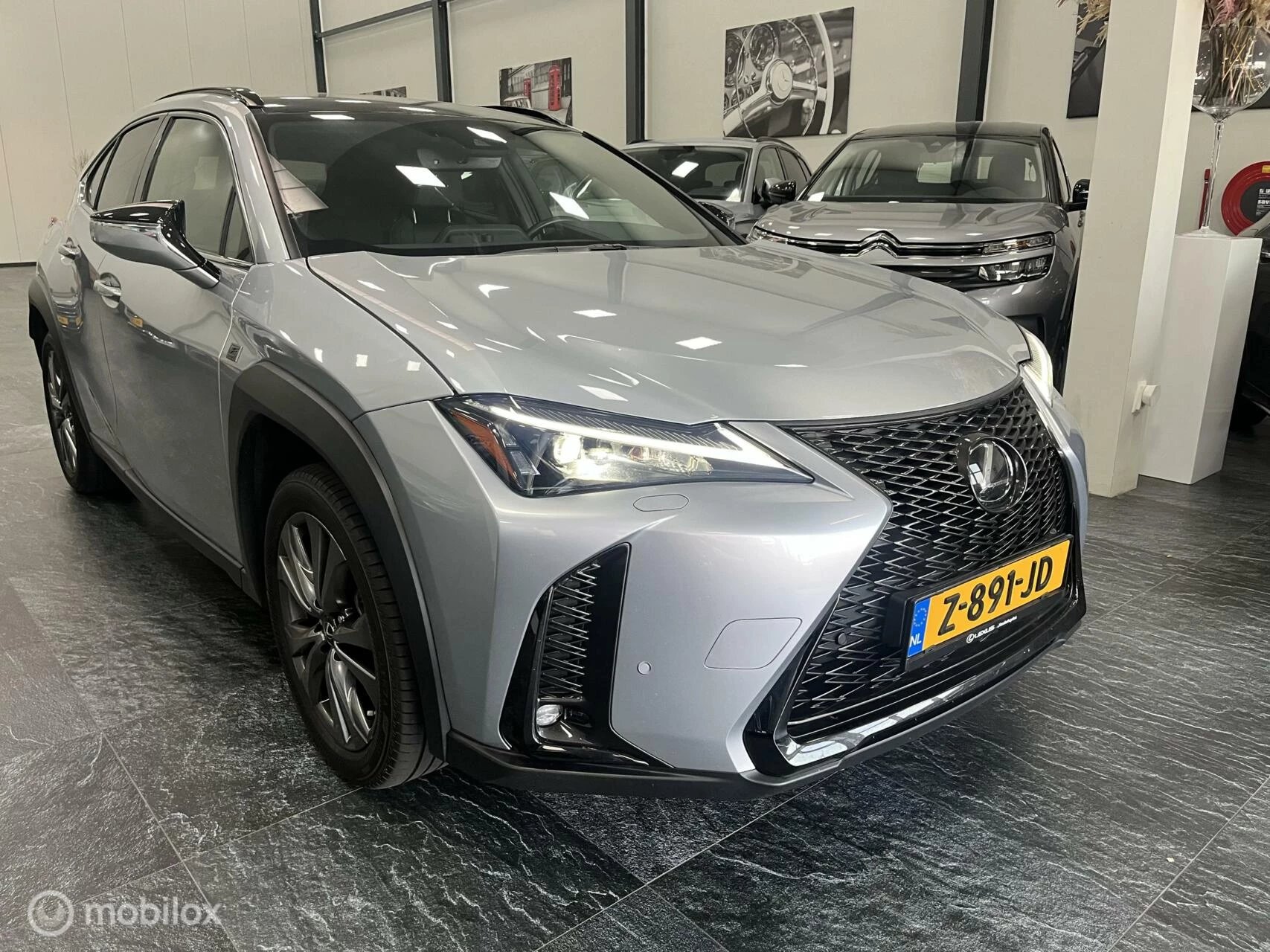 Hoofdafbeelding Lexus UX