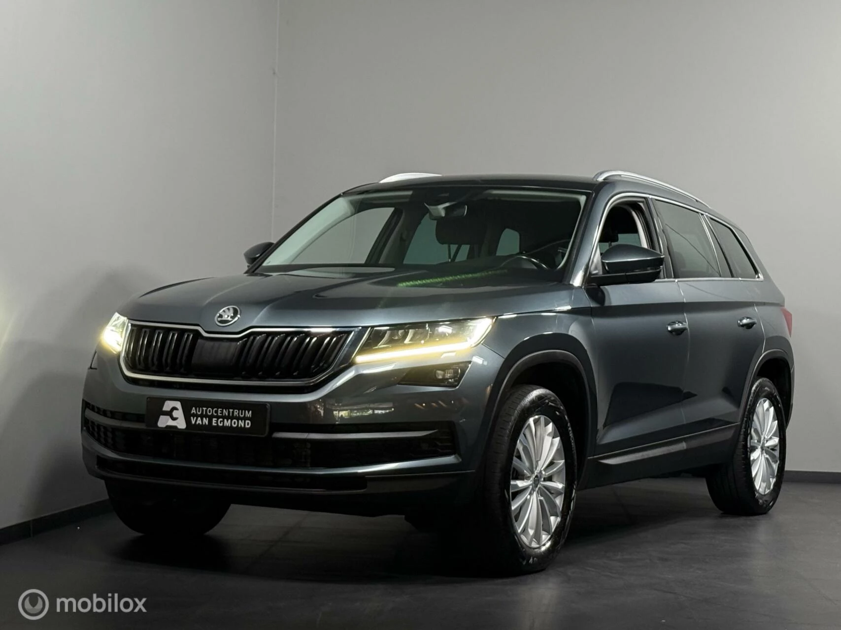 Hoofdafbeelding Škoda Kodiaq
