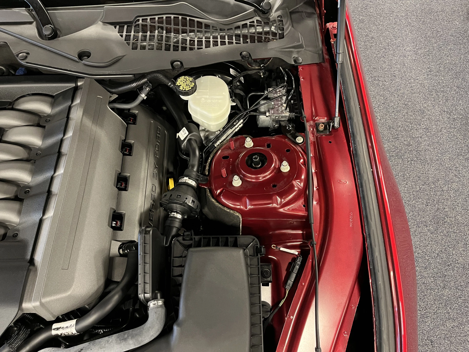 Hoofdafbeelding Ford Mustang