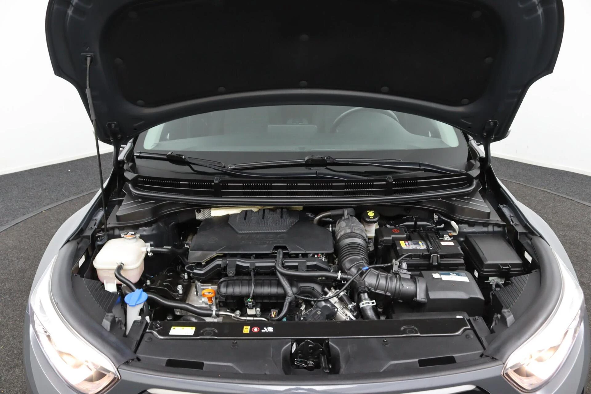 Hoofdafbeelding Kia Stonic