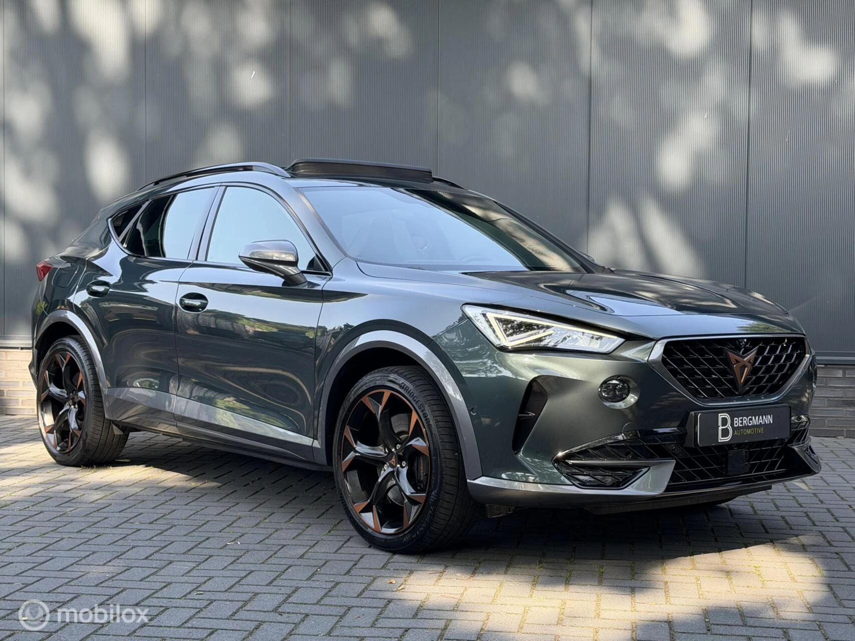 Hoofdafbeelding CUPRA Formentor