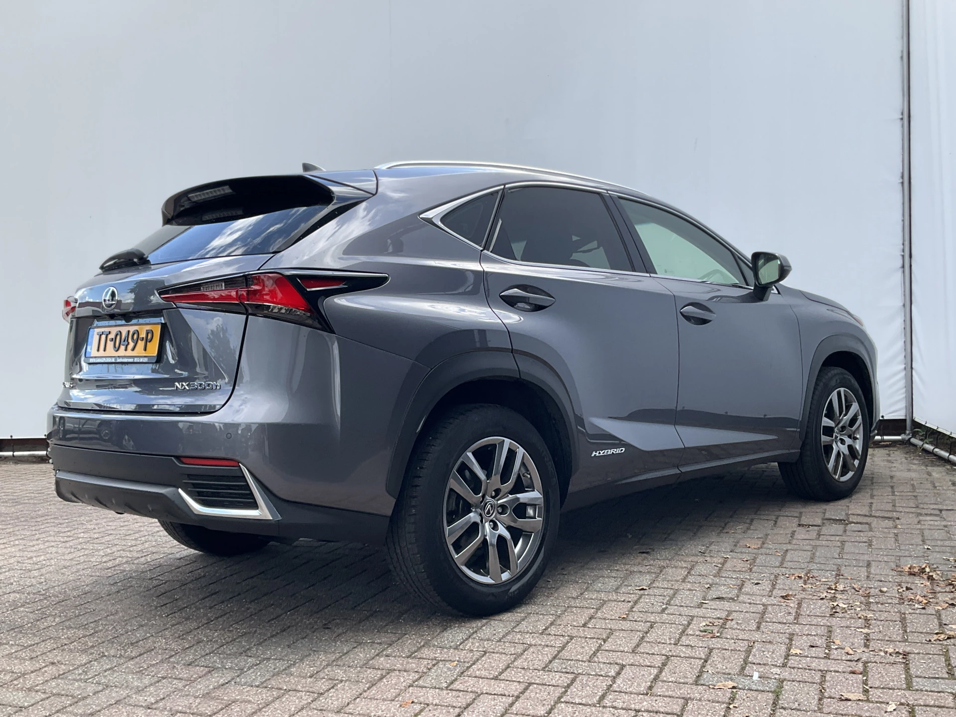 Hoofdafbeelding Lexus NX