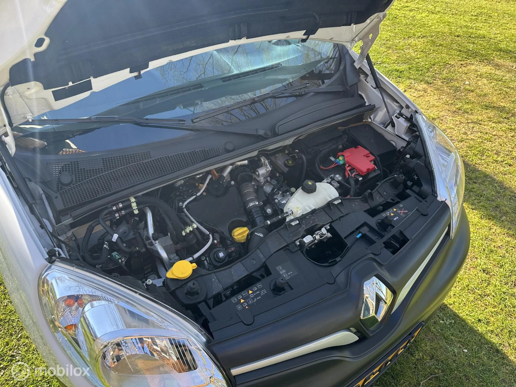 Hoofdafbeelding Renault Kangoo